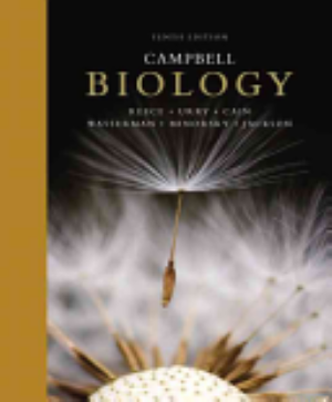 Campbell Biology 표지